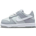 NIKE iCL DUNK LOW TD 'TWO-TONED GREY' xr[TCYf _N [ 'gD[ g[ O[' xr[ Xj[J[ LIGHT GREY/DARK GREY DH9761-001yCOWJ {ׁz