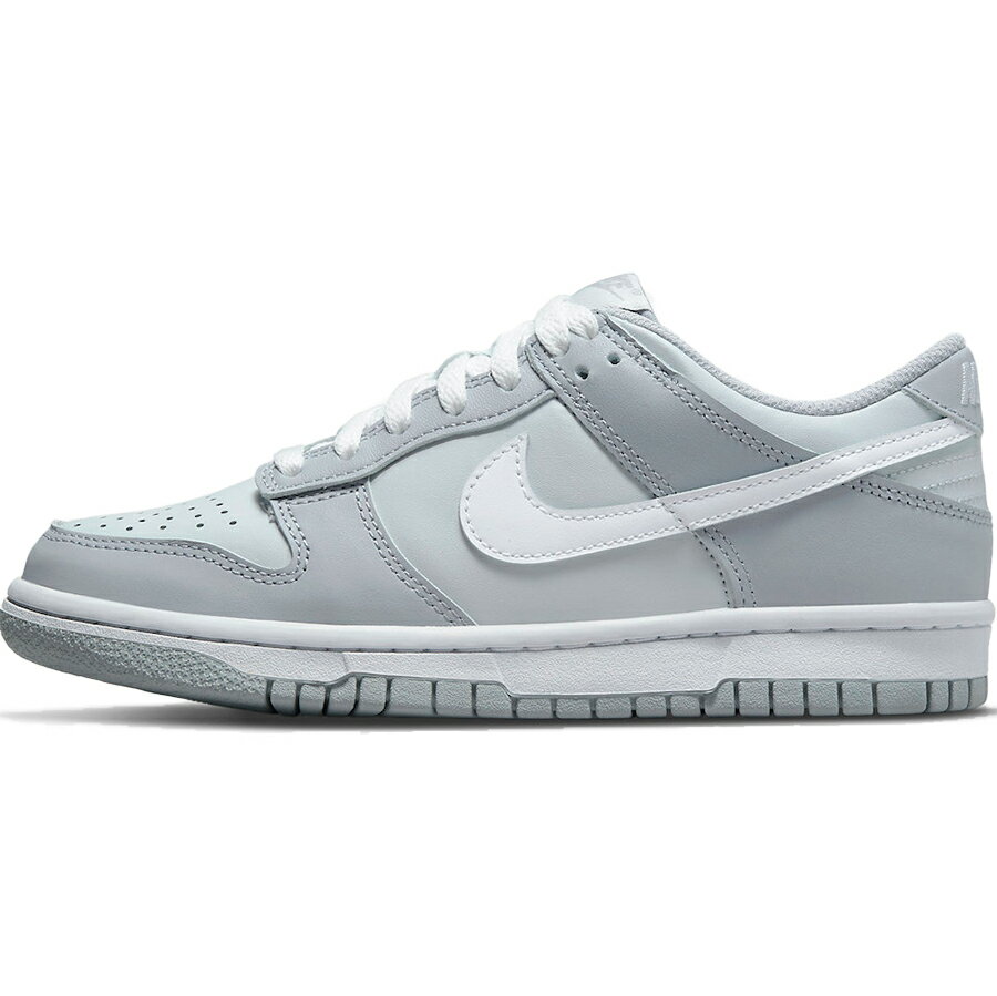 NIKE iCL DUNK LOW GS 