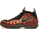 27cm 28.5cm NIKE ナイキ AIR FOAMPOSITE PRO 'HYPER CRIMSON' エア フォームポジット プロ 