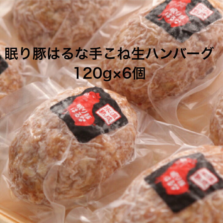 送料無料 岩野精肉店 オリジナルポーク 眠り豚はるな 手こねハンバーグ 120g×6個 氷温熟成 ハンバーグ お取り寄せ おうちごはん