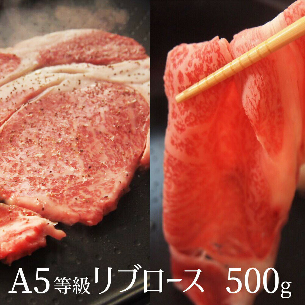 A5等級訳あり贅沢リブロース　500g【送料無料 ギフト 内祝 プレゼント 食べ物 父の日 母の日  ...