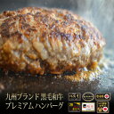 【遅れてごめんね母の日】九州 ブランド牛 プレミアム ハンバーグ 150g s【 ハンバーグ 牛肉 和牛 お肉 ギフト 肉 お中元 お歳暮 内祝い プレゼント ...