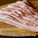 イベリコ豚 バラ 焼肉用 500g s 【 お中元 豚肉 焼肉 BBQ サムギョプサル お肉 ギフト 豚バラ 肉 御歳暮 御中元 お歳暮 お中元 内祝い プレゼント 豚 食べ物 父の日 母の日 敬老の日 】