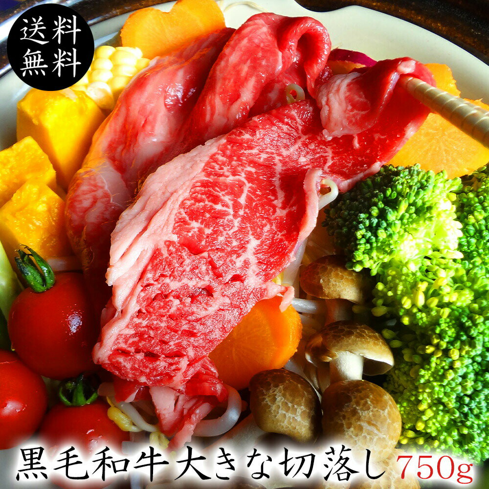 【送料無料】黒毛和牛大きな切り落とし750g 250g 3 【牛丼 バラ肉 牛肉ギフト 内祝 プレゼント 食べ物 父の日 母の日 敬老の日 】