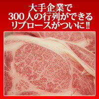 A5等級訳あり贅沢リブロース　500g s