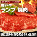 【送料無料】【神戸ビーフ ギフト】神戸牛　ランプ 焼肉 500g（冷蔵）国産　牛肉　肉　贈答　お返し お取り寄せグルメ 巣ごもり 自粛 復興応援 2