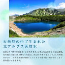 【送料無料】北アルプス天然水「5年保存水」2L x1箱/6本入り 防災 水 災害用水 備蓄水 非常用水 軟水 赤ちゃん ミルク ペット 立山連峰 大自然の天然水 まとめ買い お水 飲料水 長期保存 国産 ミネラルウォーター 2リットル ペットボトル 保存水 3