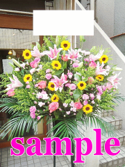 https://thumbnail.image.rakuten.co.jp/@0_mall/1187i/cabinet/03223150/img59716354.gif