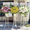 RT-ST1-0081 16500円込 おまかせ色違い3個セット スタンド花1段 御祝・開店・誕生日・お礼・ショールーム・モデルルームなどの御祝事に!全国配送可...