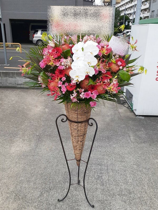 st1n799　白胡蝶蘭入　ピンク系　コーン　スタンド花　※地域限定商品　東京・神奈川・埼玉・千葉（郡部..