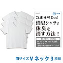 【消臭シャツ】デオル ブイネック天竺Tシャツ 同サイズ3枚組 |ワキガ わきが わき臭 ワキ臭 消臭 対策 体臭 加齢臭 男性 メンズ インナー 肌着 綿100% 白 ホワイト 体臭 臭い 消し 臭わない 汗 まとめ買い tシャツ インナーシャツ ティーシャツ 【あす楽】