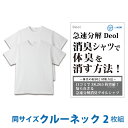 【消臭シャツ】デオル クルーネックTシャツ 同サイズ2枚組 | ワキガ わきが わき臭 ワキ臭 消臭 対策 衣類臭 体臭 加齢臭 男性 メンズ インナー 下着 肌着 綿100% 白 ホワイト 体臭 臭い 消し 臭わない 汗 お買い得 まとめ買い 興和堂【あす楽】