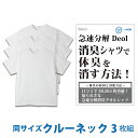 デオル クルーネックTシャツ 同サイズ3枚組 | ワキガ わきが わき臭 ワキ臭 消臭 対策 体臭 加齢臭 男性 メンズ インナー 肌着 綿100% 白 ホワイト 体臭 臭い 消し 臭わない 汗 まとめ買い tシャツ インナーシャツ ティーシャツ 