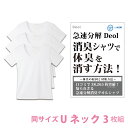 【消臭シャツ】デオル UネックTシャツWOMEN 同サイズ3枚組 | ワキガ わきが わき臭 ワキ臭 消臭 対策 女性 レディース インナー 肌着 ..