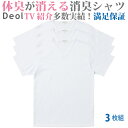 【送料無料】【消臭シャツ】デオル ブイネック天竺Tシャツ 同...