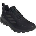 アディダス テレックス トレイルメーカー 2 GORE-TEX ハイキングシューズ IH0618( アウトドア 登山 シューズ )