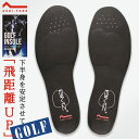 BMZ アシトレゴルフブースター ASHITOREGB( ゴルフ ゴルフ専用 インソール 足トレ bmz インソール bmzインソール 人気 中敷き いんそーる...