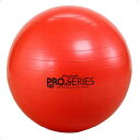 【送料無料】ディーエム SDSエクササイズボール(最大直径 55 cm)( 総合スポーツ トレーニング用品 トレーニング用品 ディーエム D&M )