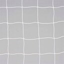 エバニュー 一般サッカーゴールネットS114 EKE994