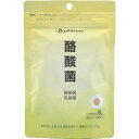 ファイテン phiten 酪酸菌 GS569000