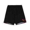 プーマ INDIVIDUAL PUMAFTBL プロ ニット サッカーショーツ 660125