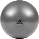 アディダス エクササイズ ジムボール 55cm ADBL11245