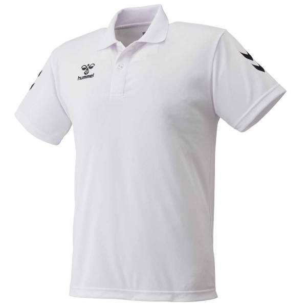 �ҥ���� ������ �ݥ������ HAP3065