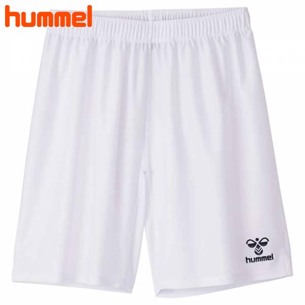 ҥ ץ饯ƥѥ HAG5042P