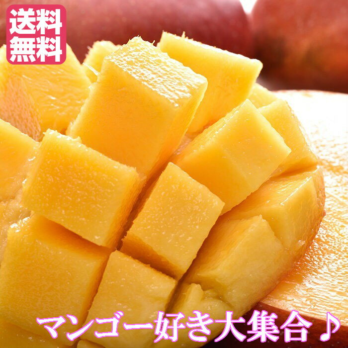 台湾マンゴー 5〜7玉入り 愛文マンゴー2.5kg フルーツ 台湾フルーツ 新鮮果実 送料無料 フレッシュマンゴー 台湾玉井 アップルマンゴー 【お届けは6月中旬から7月下旬になります】のサムネイル