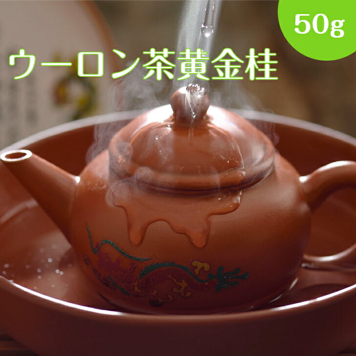 【30%OFFクーポン配布中】ウーロン茶