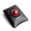 Expert Mouse Wireless Trackball K72359JP