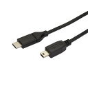 USB-C - USB mini-B ケーブル USB Type-C(オス)/USBミニB(オス) 2m USB 2.0ケーブル