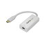 USB-C-Mini DisplayPort ǥץ쥤Ѵץ/4K60Hz/DP Alt⡼/Thunderbolt 3б/ۥ磻/USB Type-Cѥ󤫤Mini DP ˥ʤɤؤѴͥ