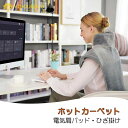 ホットカーペット 電気 ひざ掛け 肩掛け 敷き 着る毛布 電気ブランケット タイマー付き 温度調節 40〜60℃ 全面均一加熱 ほかほか 電気毛布 ホットカーペ...