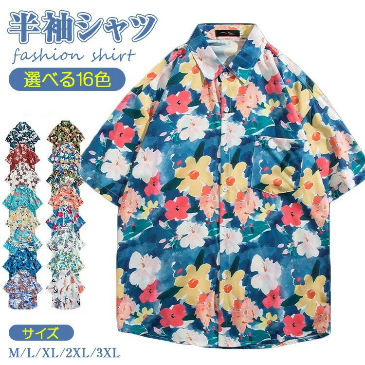 ϥĥ ǥ Ⱦµ   奢륷 ʬµ   ȥåץ ӡ     ...