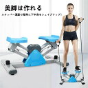 ツイストエアロステッパー 調ステッパー 筋トレ 静音 体幹 ひねり くびれ ウエスト ダイエット 器具 健康器具 フィットネス トレーニング コア ステップ台 お腹 ダイエット 室内 運動器具 脂肪燃焼 宅トレ