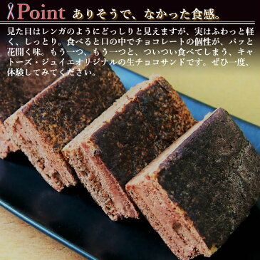 【大地の恵みショコラ 10個入り】チョコケーキ 生チョコ ケーキ 詰め合わせ チョコ チョコサンド ギフト セット 日持ち お配り 大量 箱 帰省土産 お土産 定番 コーヒー 埼玉 東京 お供え お返し カカオ 接待 法事