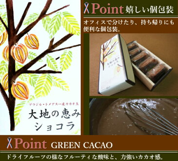 【大地の恵みショコラ 10個入り】チョコケーキ 生チョコ ケーキ 詰め合わせ チョコ チョコサンド ギフト セット 日持ち お配り 大量 箱 帰省土産 お土産 定番 コーヒー 埼玉 東京 お供え お返し カカオ 接待 法事