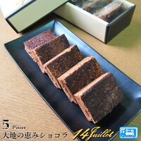 【大地の恵みショコラ 5個入り】チョコレートケーキ 生チョコ ケーキ 詰め合わせ チョコ チョコサンド おしゃれ 高級 お菓子 ギフト セット スイーツ 手土産 職場 お返し 贈答 接待 カカオ お返し 贈り物 ご褒美 おやつ お礼 社会貢献