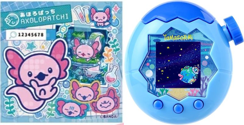 ���ͥ�ɥ���å׼���Ź Tamagotchi Paradise - Blue Water ���������ŵ�ؤ��ޥ�ܥ��ƥå��������ۤ��Ѥä����դ�)�о�ǯ�� 6�Ͱ�...
