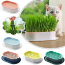 容器 3pcs　猫草栽培鉢皿 鉢台 鉢植え台　猫草プランター　植物シャーレ　プラスチックキャットニップ猫草ボックス　自己散水植物スプラウタートレイ　鉢植え台 観葉植物 鉢植え 植木鉢