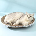 猫が楽しめる柔らかく耐久性のある表面を提供します。高品質のダンボール素材で作られており、耐水性と耐久性があります。 滑らかで楕円形で、猫の頸椎に適しており、怪我を防ぎます。楽しくて耐久性にも優れているので、猫が心配することなく爪とぎをして楽しむことができます。 変形したり崩れたりすることなく大人の体重に耐えることができ、猫が休んだり遊んだりするためのしっかりとしたベッドを提供します。 爪とぎから遊び、休憩まで、猫のさまざまなニーズに応えます。犬や他のペットにも対応します。スリムなデザインなので、ご自宅のスペースを節約できます。 転倒を防ぐ頑丈なシャーシを備えているため、猫は遊びや昼寝を楽しむことができます。また、猫の爪を良好な形状と状態に維持するのにも役立ちます。