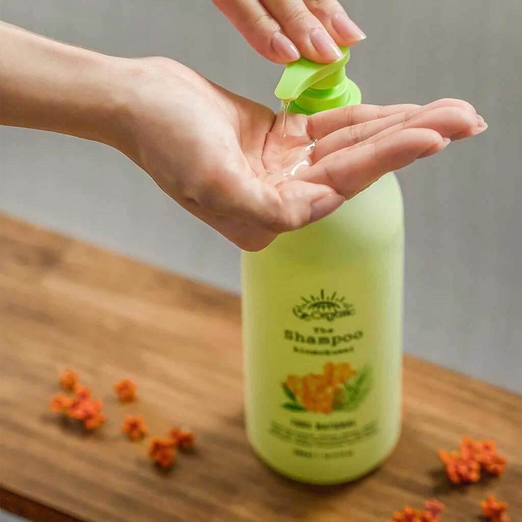 ＜P5倍＞シャンプー トリートメント 選べる2種 金木犀 シトラス 2点 セット 無添加 15/e organic Taka 共同開発 スカルプ ヘアケア 天然由来100% 贅沢 フレグランス 弱酸性 保湿 いい香り 日本製 フィフティーンオーガニック 15オーガニック ギフト プレゼント 15e-organic-10000003 15/e organic 楽天市場店 サンプル画像3