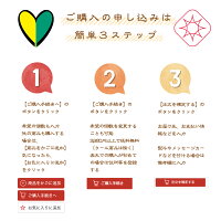 いちごミルクいちごアイス1個職人が1つ1つ手作り別途送料国産いちご越後姫/新潟県産牛乳/安心安全定植後化学農薬不使用苺/アイス/農園直送/厳選素材/ストロベリー/ホワイトデー*苺アイスミルク