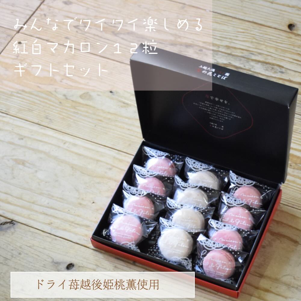 マカロン 送料無料　苺のマカロン　12粒入り　洋菓子セット/贈答用/贈り物/内祝い/母の日/父の日/お中元/お歳暮/バレンタインデー/ホワイトデー/苺のドライが入ったマカロン＊ギフト箱紅白マカロン12粒セット