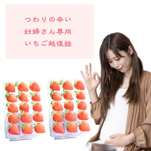 【日付指定可能】数日での発送可能！妊婦さんがパクパク食べられるパクパクパックいちご　越後姫30粒約340g入り 　お取り寄せ/自宅用/フルーツギフト/果物/詰め合わせ/農園直送/ストロベリー/大粒/甘い/帰歳暮/妊婦さん/葉酸/バレンタインいちご＊ゆりC15粒170g2セット