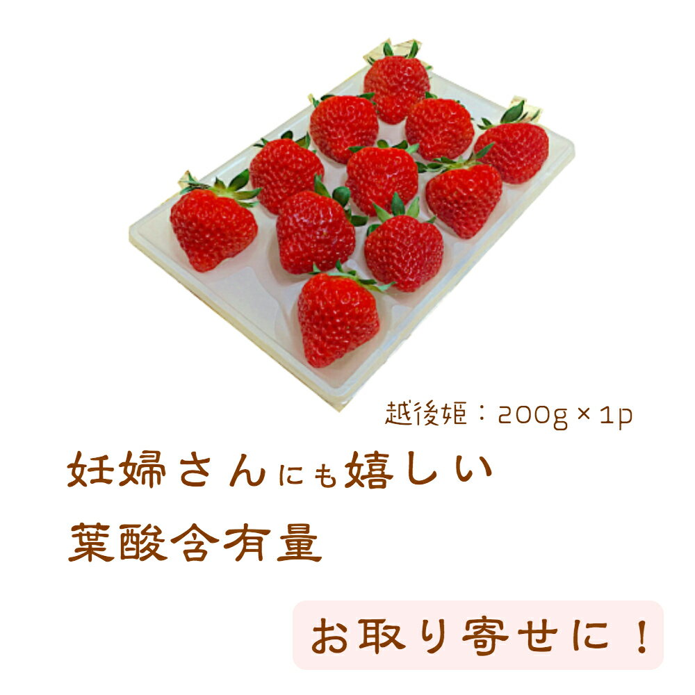 数日での発送可能！いちご　越後姫9〜15粒　約180g入り 安心安全定植後化学農薬不使用苺　お取り寄せ/自宅用/フルーツギフト/果物/詰め合わせ/農園直送/ストロベリー/大粒/甘い/帰歳暮/妊婦さん/葉酸/バレンタインいちご＊ゆりC180 9or11or15粒