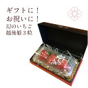 内祝い　いちご越後姫3粒入り　安心安全定植後化学農薬不使用苺　ギフト/プレゼント/贈答用/贈りもの/農園直送/大粒いちご/ストロベリー/バレンタイン＊姫3粒 137