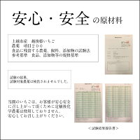 いちごミルクいちごアイス1個職人が1つ1つ手作り別途送料国産いちご越後姫/新潟県産牛乳/安心安全定植後化学農薬不使用苺/アイス/農園直送/厳選素材/ストロベリー/ホワイトデー