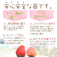 いちごミルクいちごアイス1個職人が1つ1つ手作り別途送料国産いちご越後姫/新潟県産牛乳/安心安全定植後化学農薬不使用苺/アイス/農園直送/厳選素材/ストロベリー/ホワイトデー